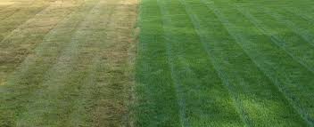 gazon-avant-apres Avant/après d'une pose de gazon