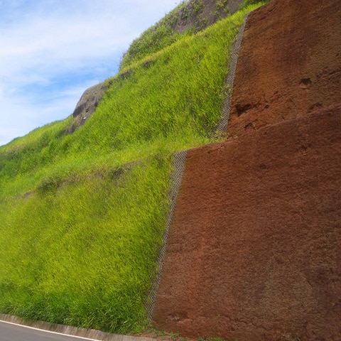 Un avant après d'un engazonnement de pelouse