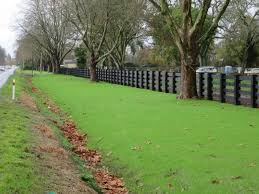 prairie-fleurie-hydromulching Une prairie fleurie après la pose de l'hydromulching